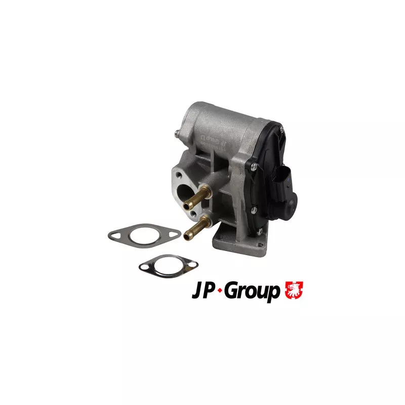 Vanne EGR JP GROUP 1119903100