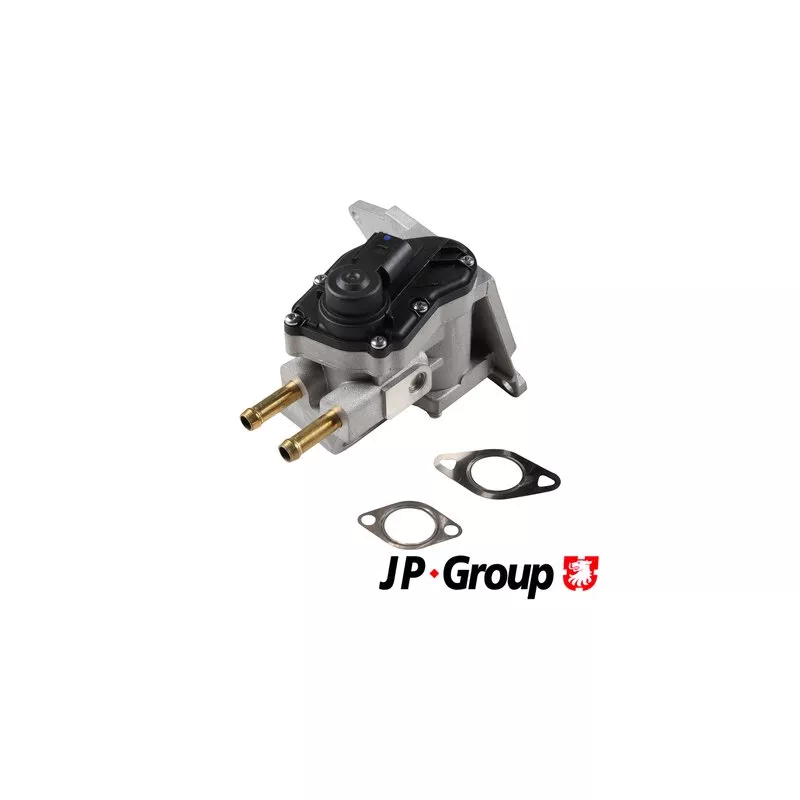 Vanne EGR JP GROUP 1119903400