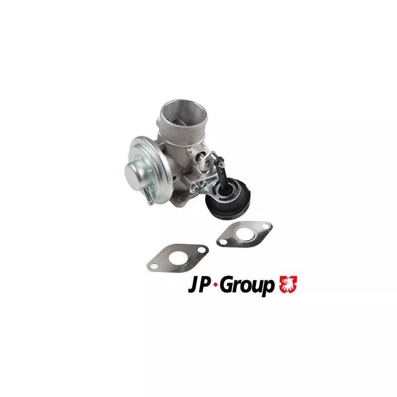 Vanne EGR JP GROUP 1119903800