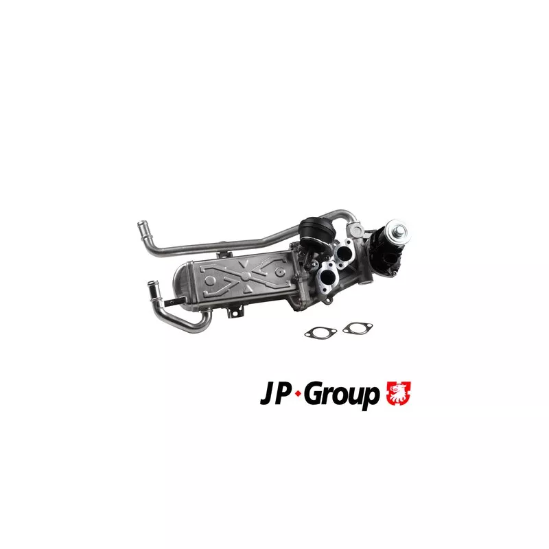 Vanne EGR JP GROUP 1119908100