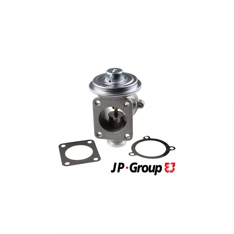 Vanne EGR JP GROUP 1419900100