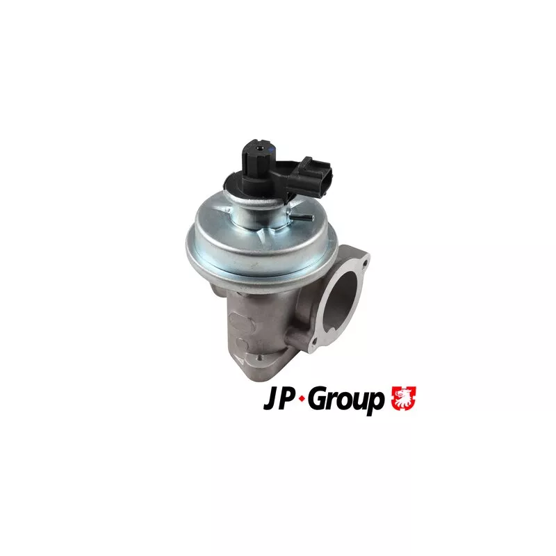 Vanne EGR JP GROUP 1519900500