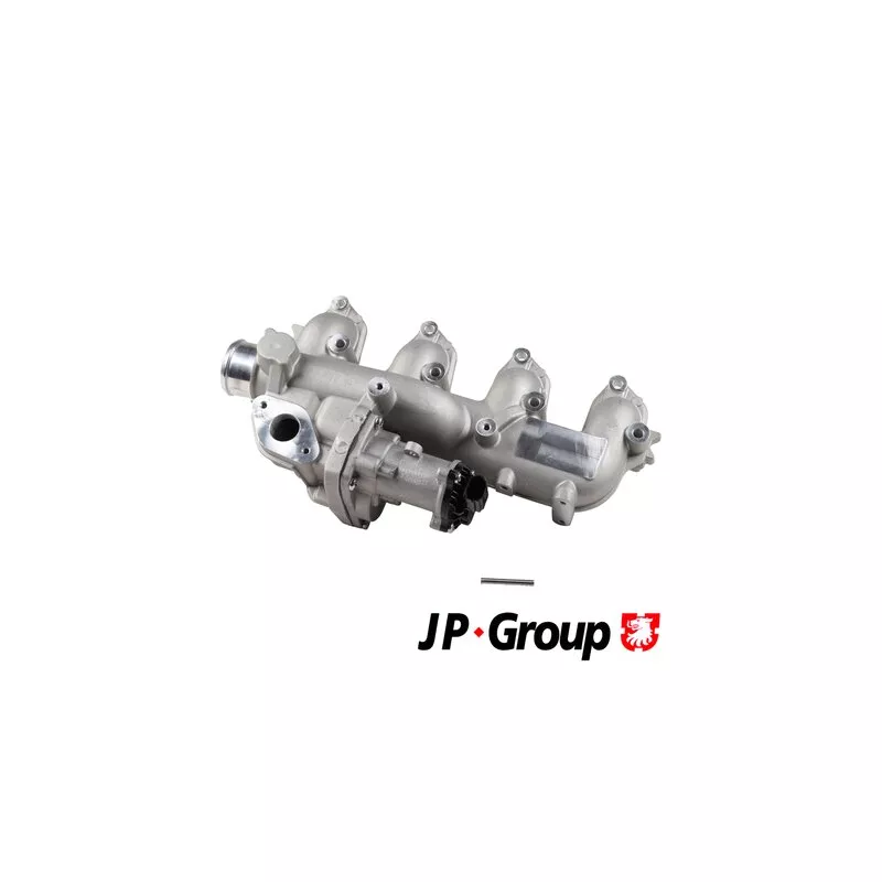 Vanne EGR JP GROUP 1519901100