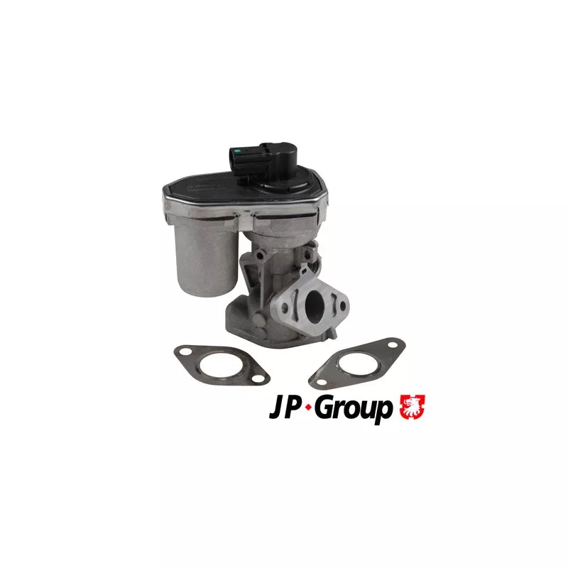 Vanne EGR JP GROUP 3119900400