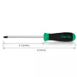 Tournevis Pozidriv PZ TOPTUL FCAB0210 - Visuel 3