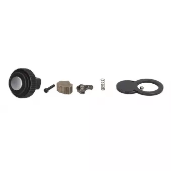 Kit de réparation à cliquet TOPTUL