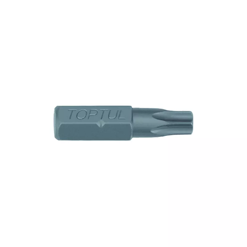 Embout de tournevis TORX TAMPER 5/16" TOPTUL FSGA1060