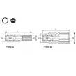 Douille 3/8" 12 pans TOPTUL BBEF1216 - Visuel 2