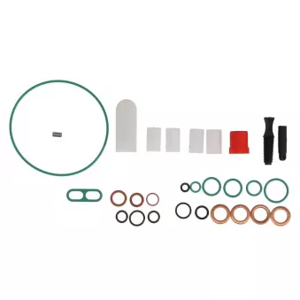 Kit d'assemblage, pompe à carburant DELPHI 7135-539