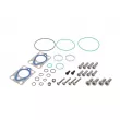 Kit d'assemblage, pompe à carburant DELPHI 7135-528 - Visuel 2