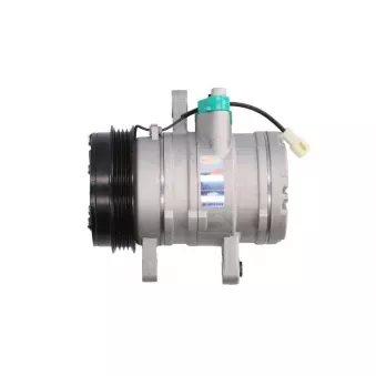 Compresseur de climatisation DELPHI CS20320-12B1