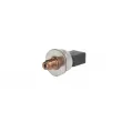 Capteur, pression de carburant DELPHI 28509144 - Visuel 1