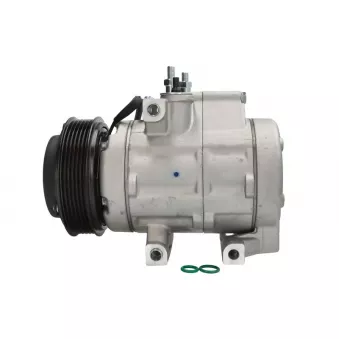 Compresseur de climatisation DELPHI CS20486
