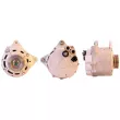 Alternateur ELSTOCK 28-6874 - Visuel 1