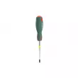 Tournevis TORX HANS 0340T30X100 - Visuel 1