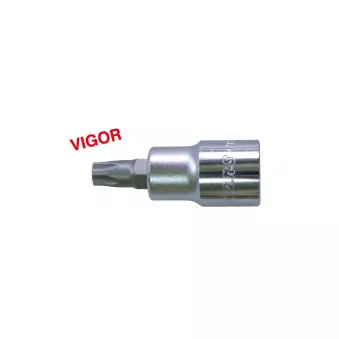 Embout Torx sur douille 1/2" HANS 4024T50