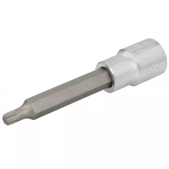 Embout Torx sur douille 1/2" HANS 4024-4T35
