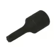 Embout Torx sur douille 1/2" HANS 4014-2BT50 - Visuel 1