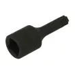 Embout Torx sur douille 1/2" HANS 4014-2BT50 - Visuel 2