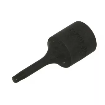 Embout Torx sur douille 1/2" HANS