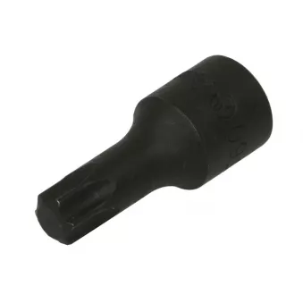 Embout Torx sur douille 1/2" HANS