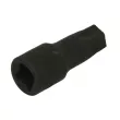 Embout Torx sur douille 1/2" HANS 4014-2BT80 - Visuel 2
