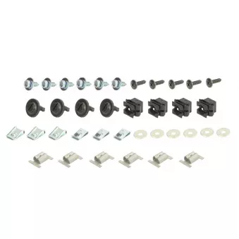 Agrafe plastique pour capot moteur REZAW-PLAST 150116