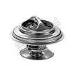 Thermostat d'eau MOTORAD 248-83JK - Visuel 2