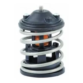 Thermostat d'eau MOTORAD 544-87INSK