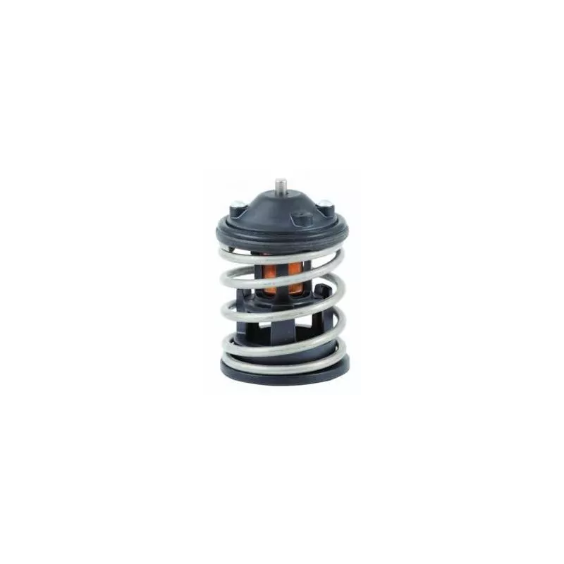 Thermostat d'eau MOTORAD 544-87INSK
