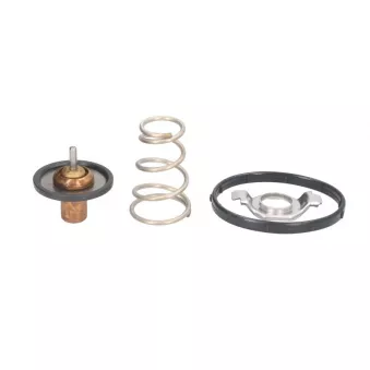 Thermostat d'eau MOTORAD 724-95K