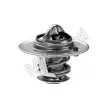 Thermostat d'eau MOTORAD 552-82JK - Visuel 2