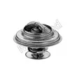 Thermostat d'eau MOTORAD 304-84K - Visuel 2