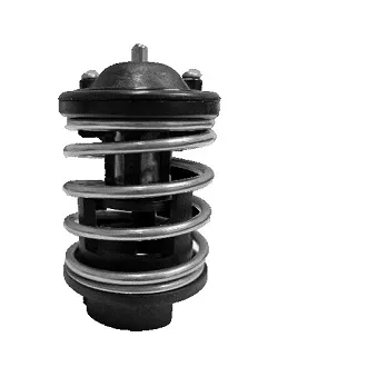 Thermostat d'eau MOTORAD