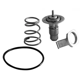 Thermostat d'eau MOTORAD 686-87INSK