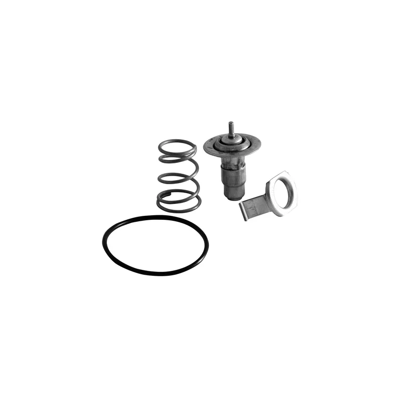 Thermostat d'eau MOTORAD 686-87INSK
