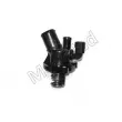 Thermostat d'eau MOTORAD 604-98K - Visuel 3