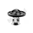 Thermostat d'eau MOTORAD 528-82K - Visuel 2