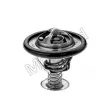 Thermostat d'eau MOTORAD 299-82K - Visuel 2