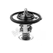 Thermostat d'eau MOTORAD 532-82K - Visuel 2