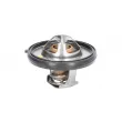 Thermostat d'eau MOTORAD 420-91K - Visuel 1