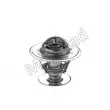 Thermostat d'eau MOTORAD 591-88K - Visuel 1