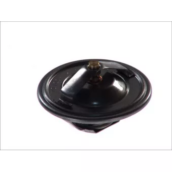Thermostat d'eau BPART TF 68