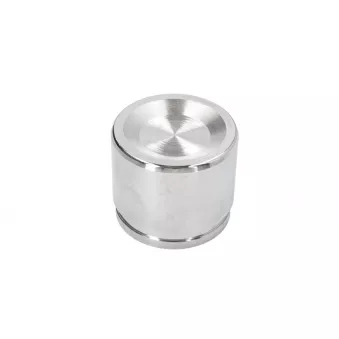 Piston d'étrier de frein BBP 7973BBP