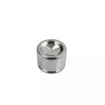 Piston d'étrier de frein BBP 7661BBP