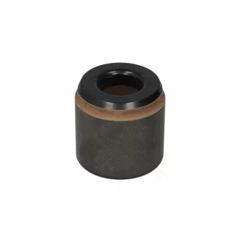 Piston d'étrier de frein BBP 7916BBP