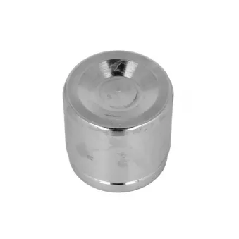 Piston d'étrier de frein BBP 7850BBP
