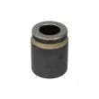 Piston d'étrier de frein BBP 7924BBP - Visuel 1