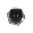 Capteur de pression d'huile ANAC MAKINA 701-80591 - Visuel 2