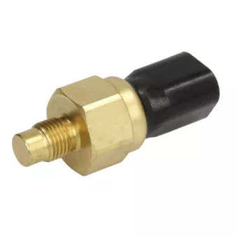 Sonde de température, liquide de refroidissement ANAC MAKINA 320-04558